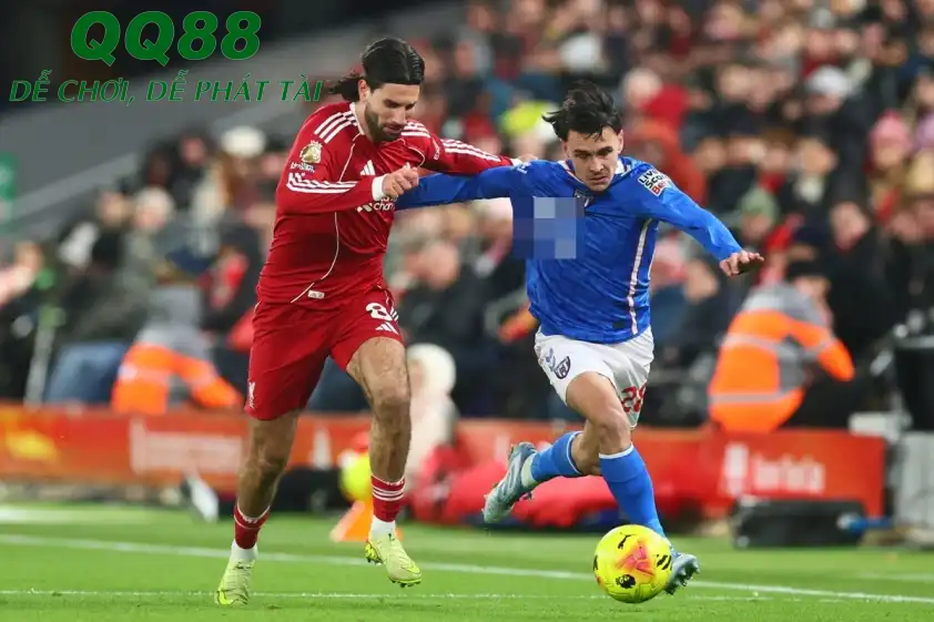 Sunderland nhiều khả năng sẽ trắng tay trước Liverpool. (Ảnh: Internet) Sunderland nhiều khả năng sẽ trắng tay trước Liverpool. (Ảnh: Internet)